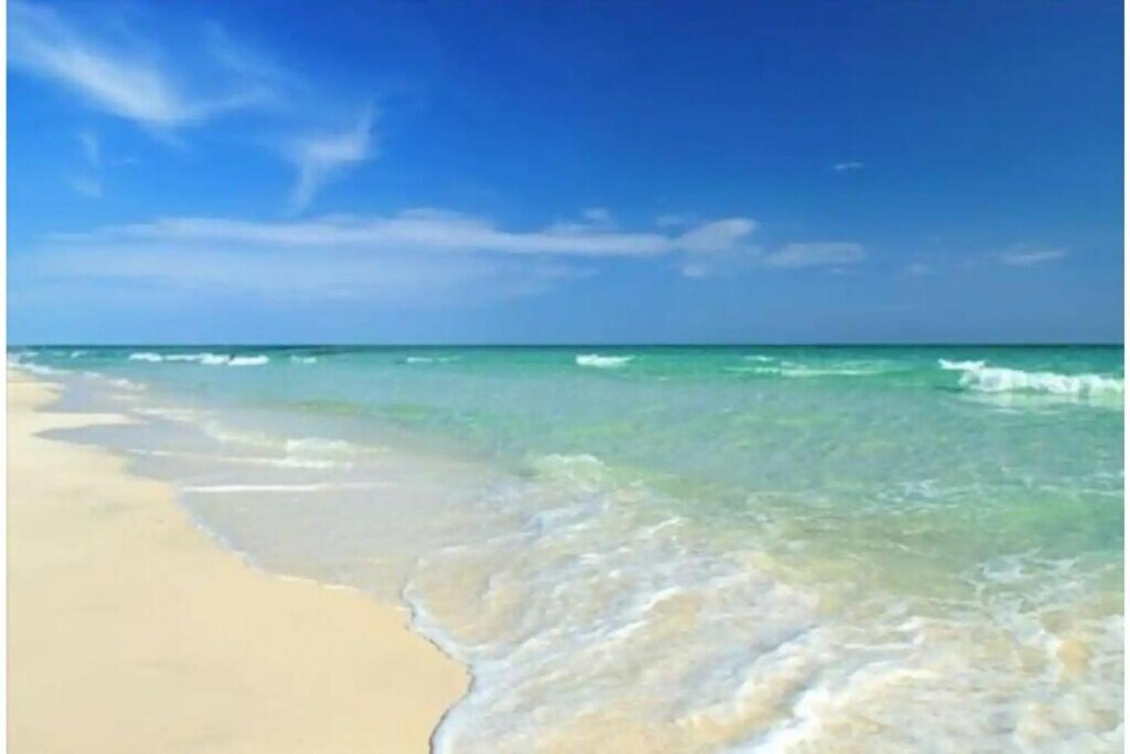 Beachfront Getaway In Siesta Key Bagian luar foto