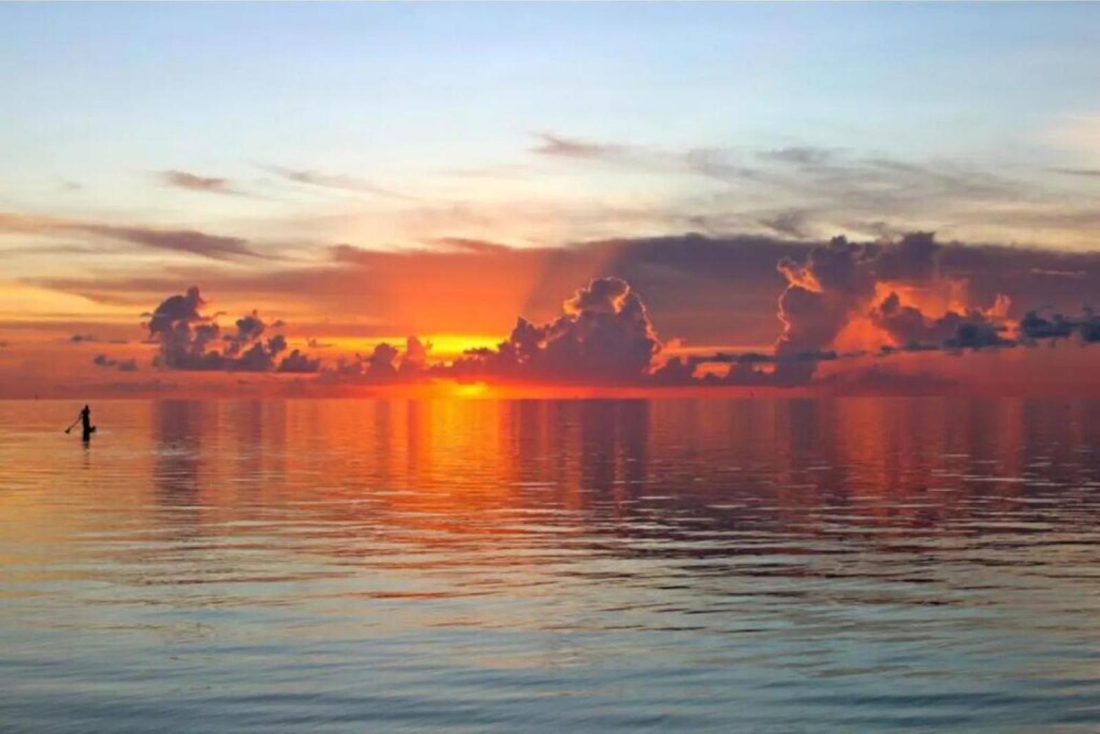 Beachfront Getaway In Siesta Key Bagian luar foto